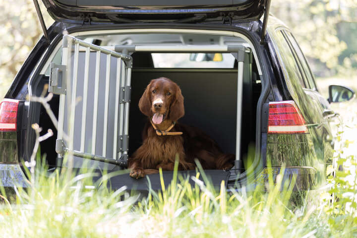 TRIXIE Transportbox Alu